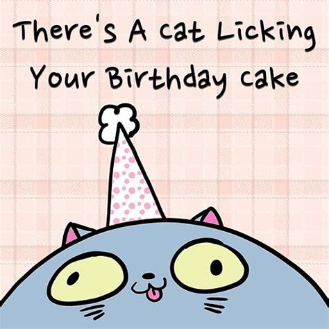 Theres A Cat Licking Your Birthday Cake Single By Parry Gripp