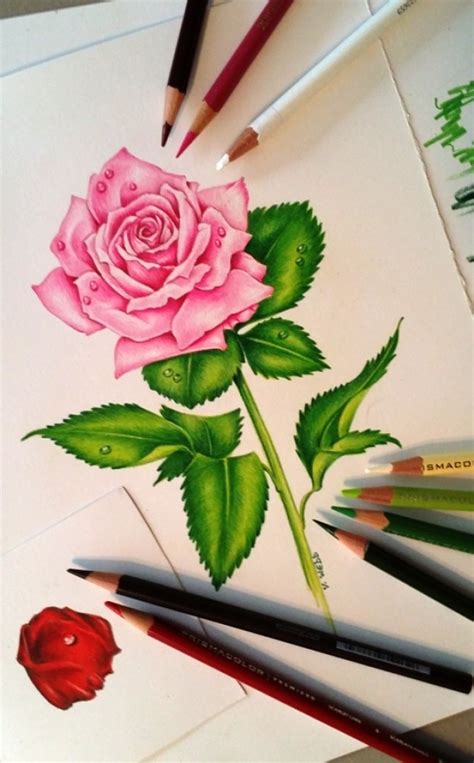 Dibujos De Flores Bonitas A Lapiz