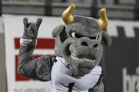 Why Your Mascot Sucks University Of South Florida Bulls Buckys 5th