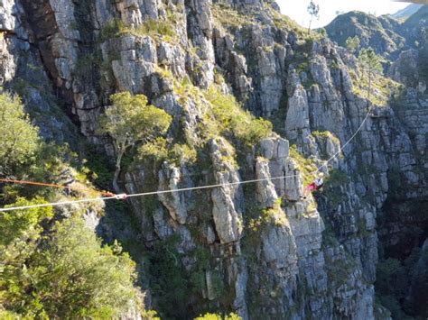 Cape Town Ziplining Half Day Cape Town South Africa