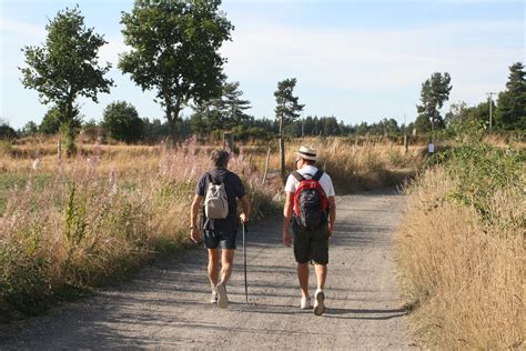 Hiking Trail Hiking Trails Country Roads Trail