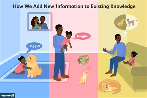 Assimilation And Jean Piagets Adaptation Process Jean Piaget