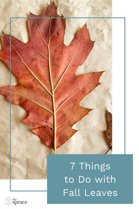 7 Things To Do With Fall Leaves Autumn Leaves Things To Do Autumn