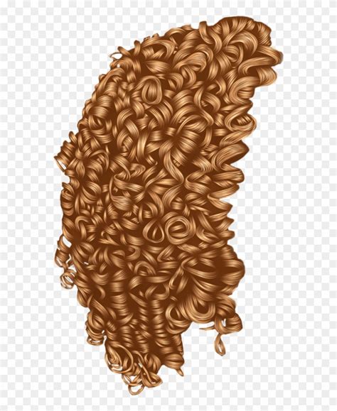 Download Curls Vector Curly Drawings Of Tight Curls Clipart 622750