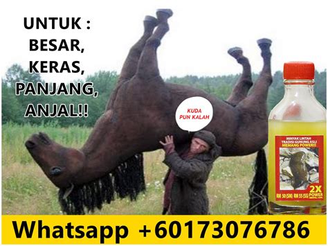 69mall minyak lintah belacak warisan. PEMBEKAL MINYAK LINTAH TRADISI GUNUNG ASLI : PEMBEKAL ...