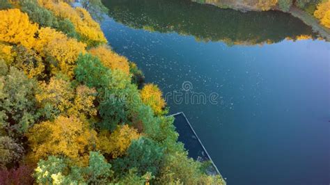 Aerial View On The Lake And Autumn Tree Forest Stock Image Image Of