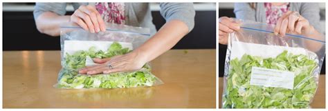 How To Store Cleaned Chopped Lettuce For At Least A Week Six Clever