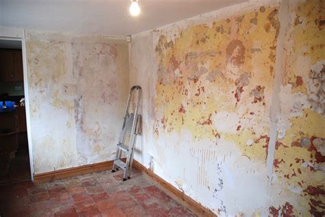 49 How To Remove Painted Wallpaper From Drywall On Wallpapersafari