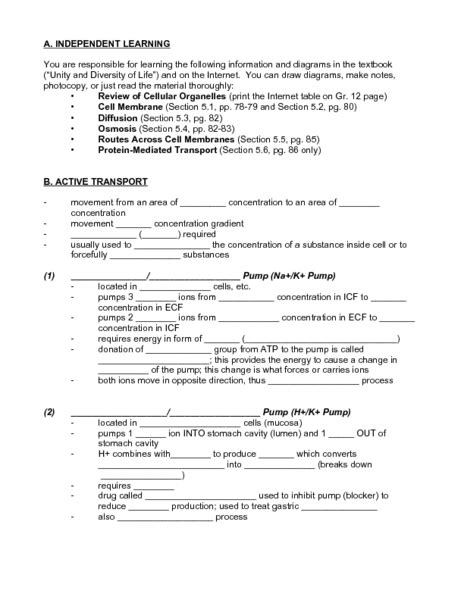 Active transport worksheet for 9th