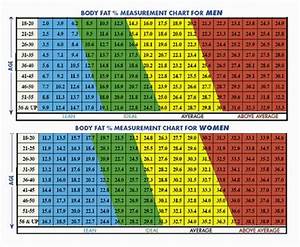 Gallery Of Accurate Body Composition Bodyscan Data Body Scan Uk Body