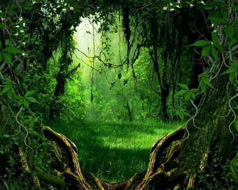 Enchanted Forest Forest Way Trees Green Hd Wallpaper Peakpx