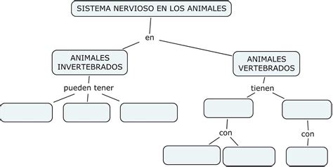 Completa El Mapa Conceptual Sobre El Sistema Nervioso De Los Animales
