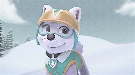 Paw Patrol Images Everest Hd Wallpaper And Background Photos 40177257