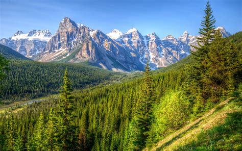 Papéis De Parede Canadá Montanhas árvores Floresta Céu Azul Banff