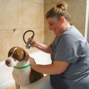 This accreditation assures you that we meet the highest standards of excellence in our facilities, equipment, staff, and medical protocols. Home Page: Whitworth Pet Vet in Madison, Alabama
