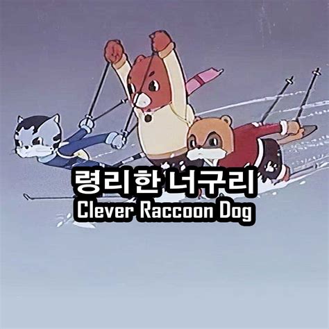 Clever Raccoon Dog Dprk 360
