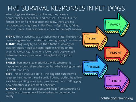 The Five Fs Survival Response In Pet Dogs — Romans Holistic Dog Training