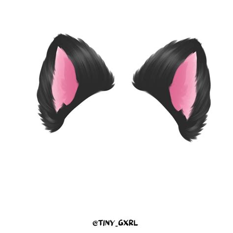 Cat Ears Di 2021 Kucing Pelangi