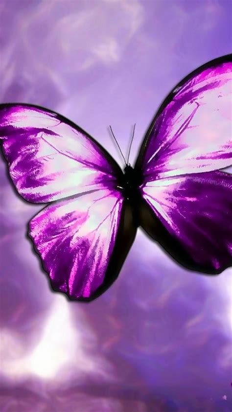 Purple Butterfly Wallpaper For Computer