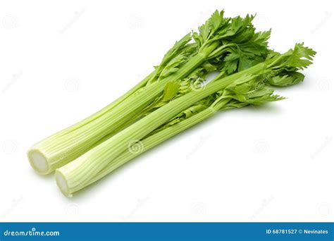 Celery Stock Image Image Of Ingredient Salad Clipping 68781527
