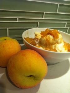 The Peaches Cookbook A Love Story And Caramelized Peach Frozen Yogurt