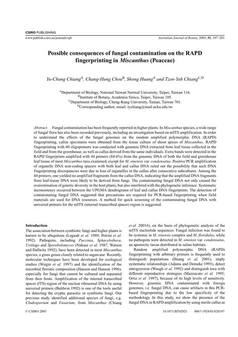 Pdf Possible Consequences Of Fungal Contamination On The Rapd