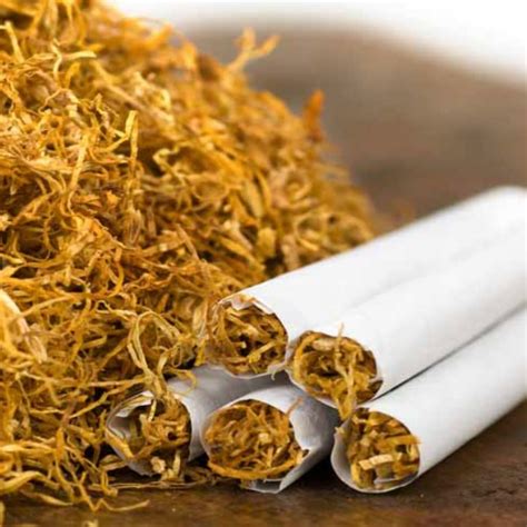 Rolling Tobacco Vs Cigarettes Which One Should You Choose Perevozki Nn