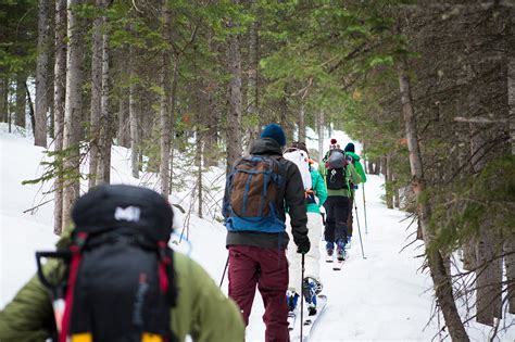 Backcountry Ski Safety What Avalanche Gear Should You Buy Gearjunkie