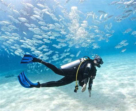 Scuba Diving In Goa Goa Darshan Tour And Travels
