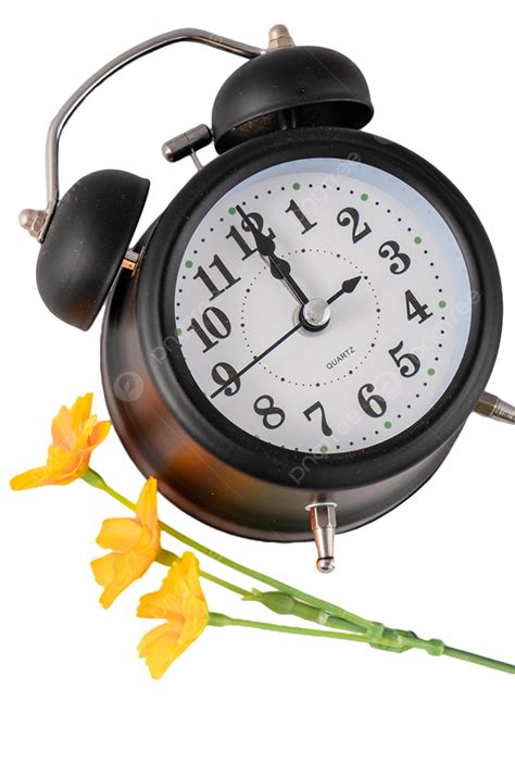 알람 시계 시계 알람 시계 시계 일러스트 알람 시계 계시기 신선한 꽃 Png 일러스트 및 이미지 에 대한 무료 다운로드