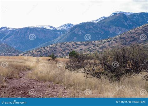 Arizona High Desert Grass Bushes And Mountains On Background Stock