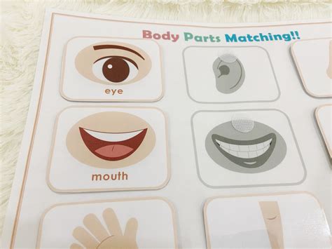 Body Parts Matching Activity Printable Toddler Busy Book Etsy India