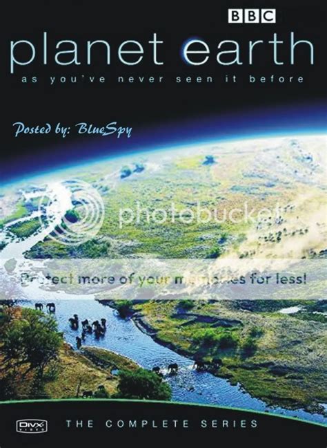 Bbc Planet Earth Episode 10 Seasonal Forests 2007 Blu Ray 1080p X264