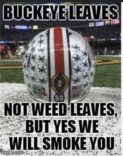 Pin By Tasia731 On Funny Ohio State Michigan Ohio State Buckeyes