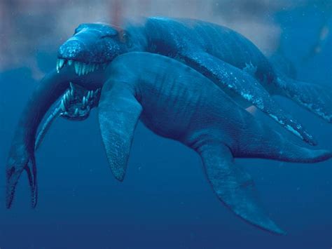 Descoberto Fóssil De Monstro Marinho Gigante ~ Criacionismo