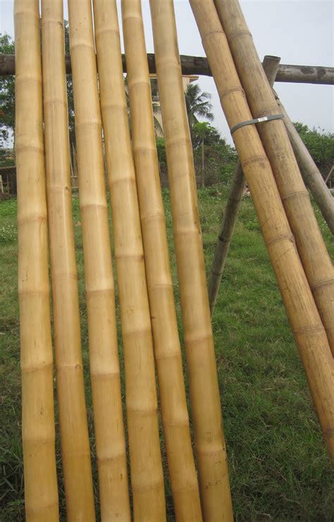 Quality Bamboo And Asian Thatch 12ft Wholesale Solid Bamboo Poles