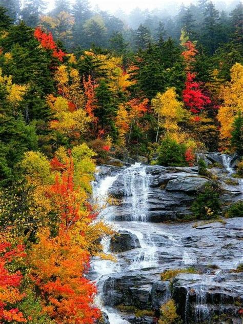 Striking Autumn Colours With Images Autumn Scenery Waterfall