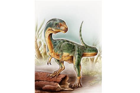 T Rex Had A Weird Vegetarian Relative Say Scientists