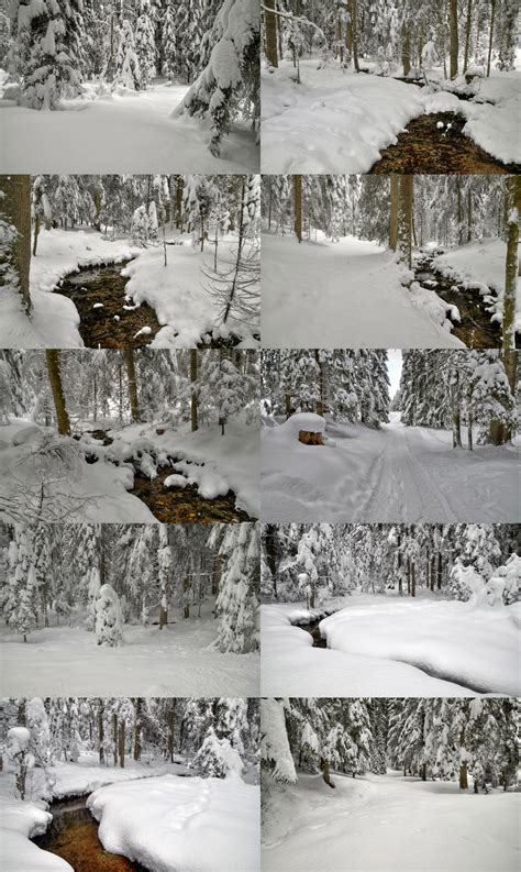 Snowy Woods Stock Package By Burtn On Deviantart