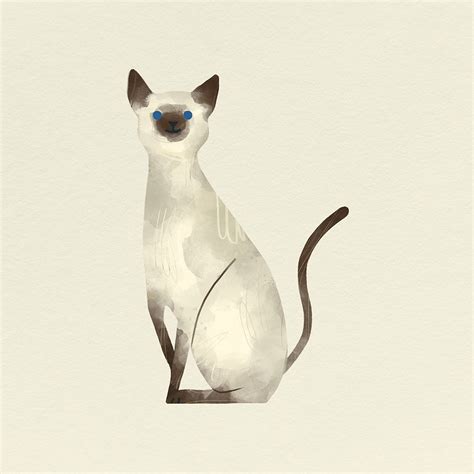 Siamese Cat Drawing Psd
