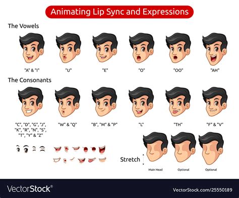 Man Cartoon Character For Animating Lip Sync Vector Image