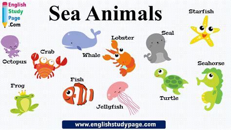 Top 121 Sea Animals Names In Telugu