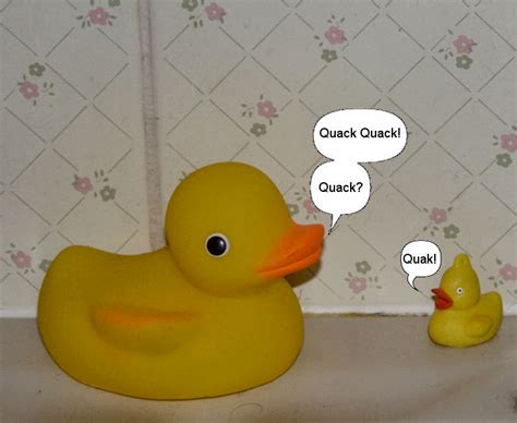 Quack Quack Quack Quak