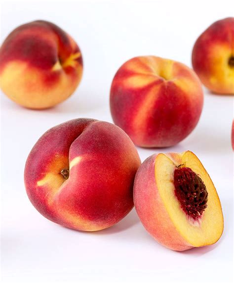 Dwarf Peach Bonanza Specials From Spalding Bulb Growing Fruit