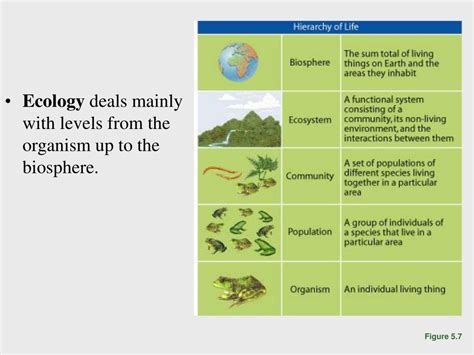 Ppt Introduction To Evolutionary Ecology Part I Week 4 Powerpoint