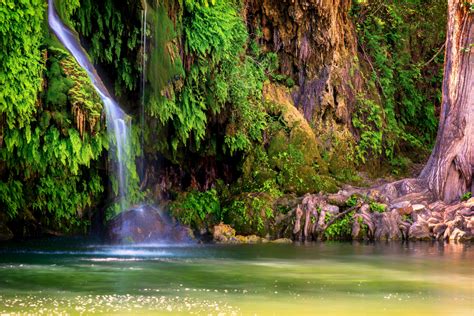 10 Prettiest Natural Springs In Texas Texas Travel 365