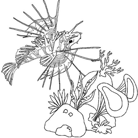 13 Beautiful Lionfish Coloring Pages for Kids and Adults - Coloring Pages