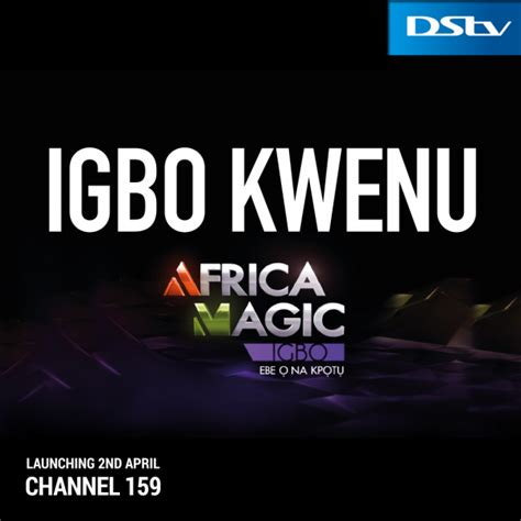 Nigeria News Haedlines Africa Magic Launches Igbo Channel