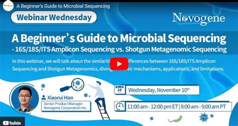 A Beginners Guide To Microbial Sequencing 16s18sits Amplicon