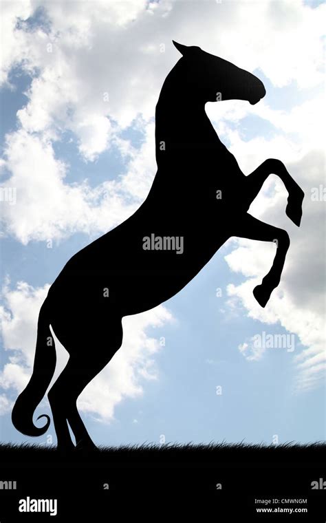 Rearing Horse Silhouette Hi Res Stock Photography And Images Alamy